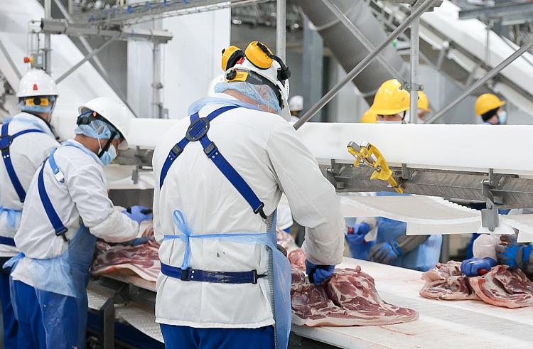 Приморье демонстрирует уверенный рост в производстве сельскохозяйственной продукции