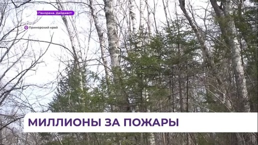 Больше 26 млн рублей составила сумма штрафов за природные пожары в Приморье