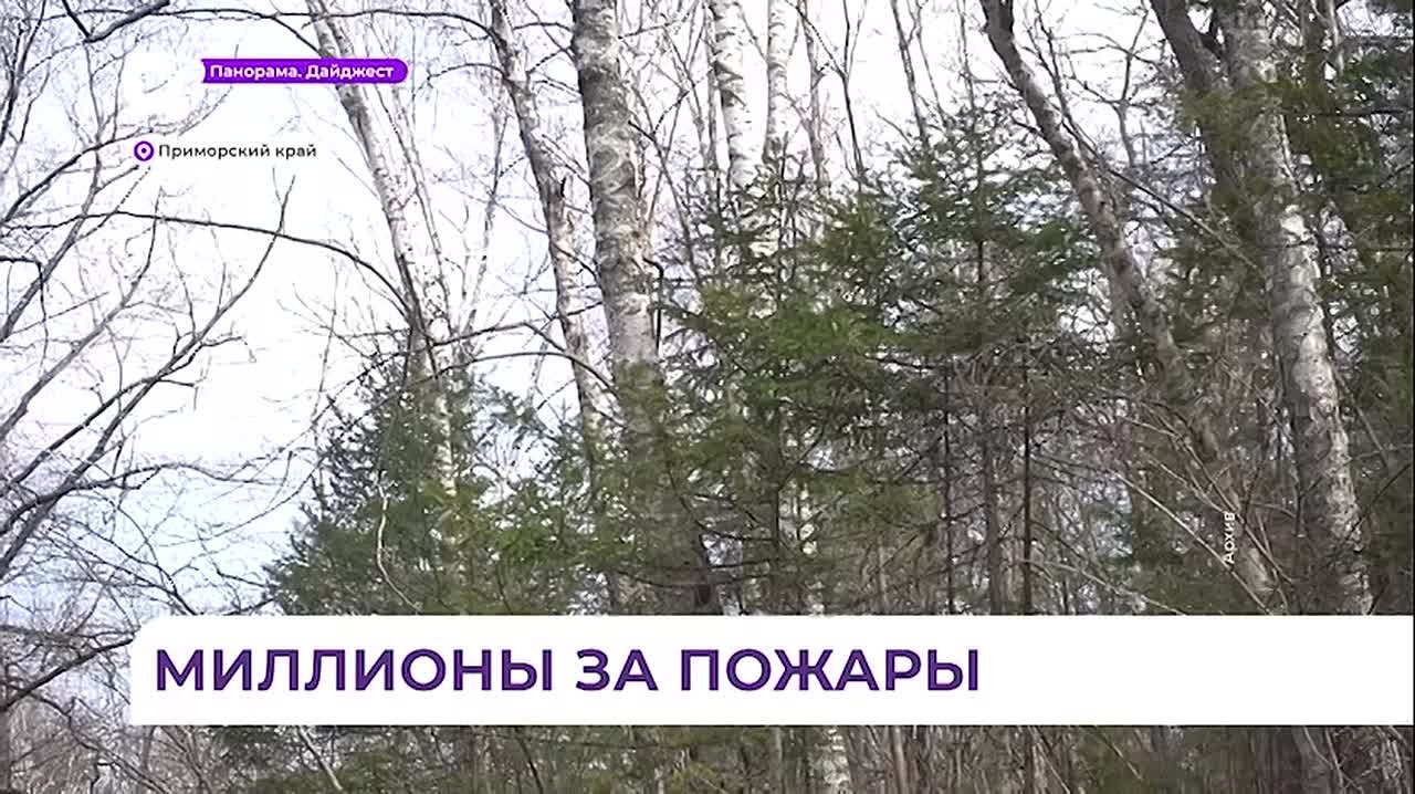 Больше 26 млн рублей составила сумма штрафов за природные пожары в Приморье