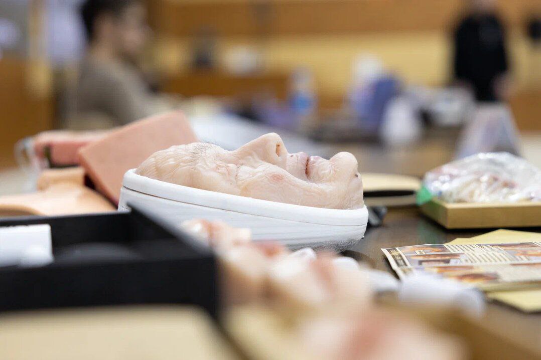 Константин Шестаков: В ДВФУ прошел финал конкурса для инновационных предпринимателей «Приморский старт» Константин Шестаков: В ДВФУ прошел финал конкурса для инновационных предпринимателей «Приморский старт»