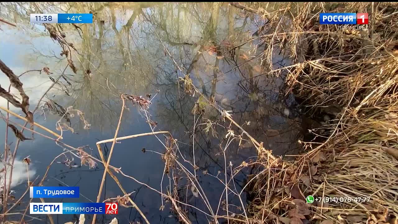 «Синяя» река пугает приморцев, вонь стоит на километры