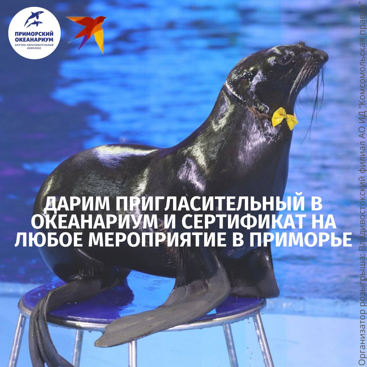 Дарим пригласительные на фантастическое шоу в Приморском океанариуме и сертификат на любое мероприятие Приморья номиналом 4 тысячи!