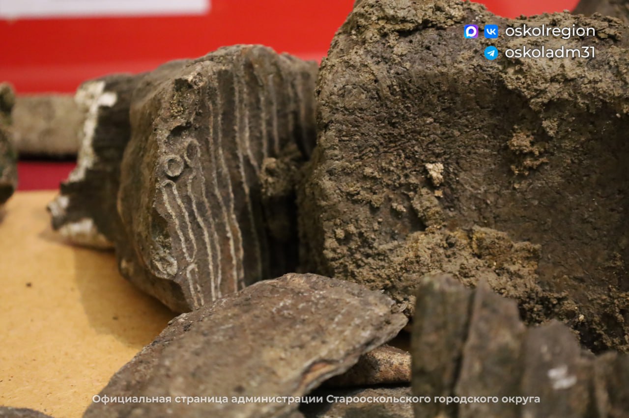 Житель села под Старым Осколом немного перестарался и вместо рыбы поймал кости древнего шерстистого носорога Житель села под Старым Осколом немного перестарался и вместо рыбы поймал кости древнего шерстистого носорога