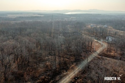 У жителей Соловей-Ключа не будут забирать купленные спорные участки, но придётся заново нарезать их границы