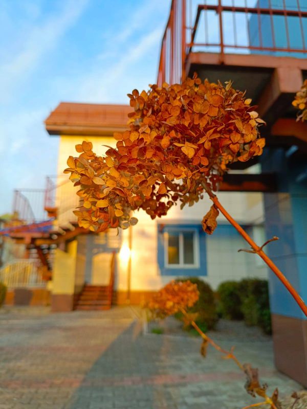 Доброе утро, Уссурийск!. Сегодня четверг, 13 ноября — день вдохновения и свежих идей