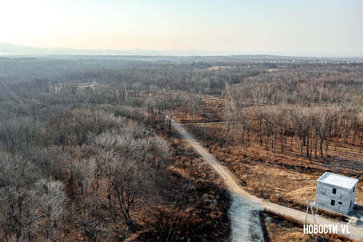 У жителей Соловей-Ключа не будут забирать купленные спорные участки, но придётся заново нарезать их границы У жителей Соловей-Ключа не будут забирать купленные спорные участки, но придётся заново нарезать их границы