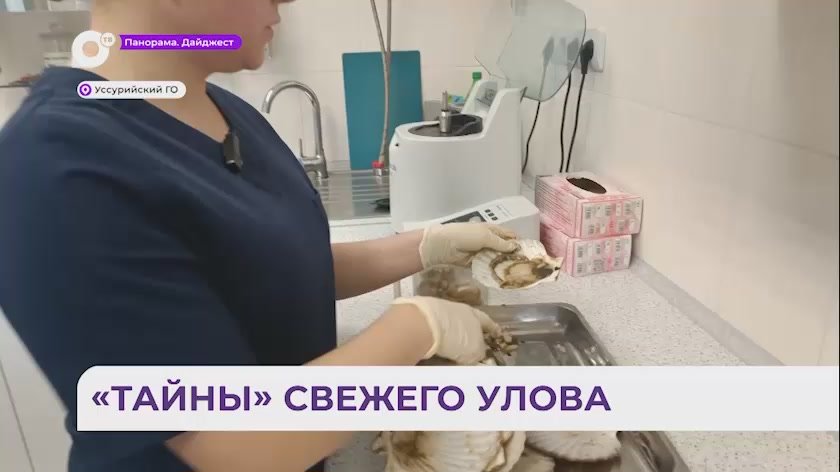 В Приморье проверяют рыбу на опасные для человека паразиты и токсины