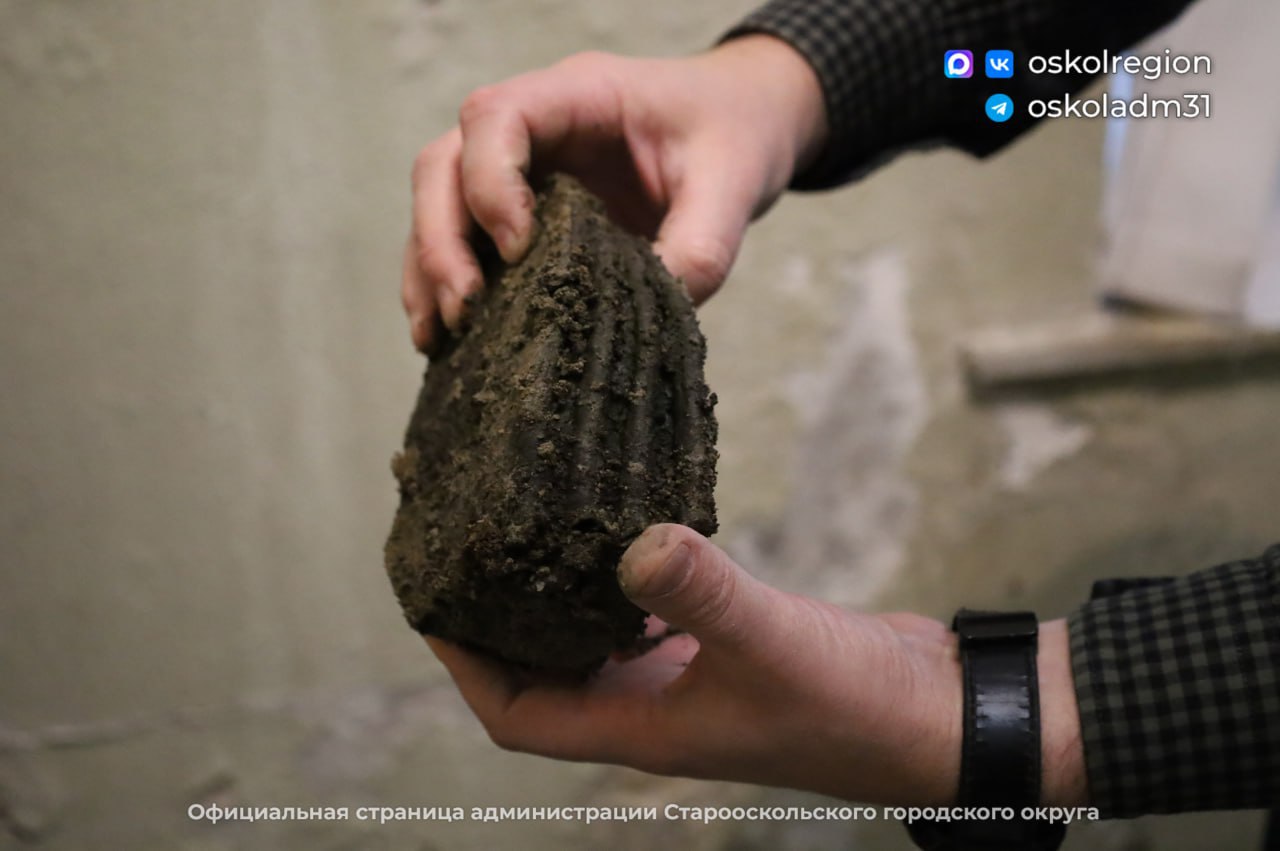 Житель села под Старым Осколом немного перестарался и вместо рыбы поймал кости древнего шерстистого носорога Житель села под Старым Осколом немного перестарался и вместо рыбы поймал кости древнего шерстистого носорога