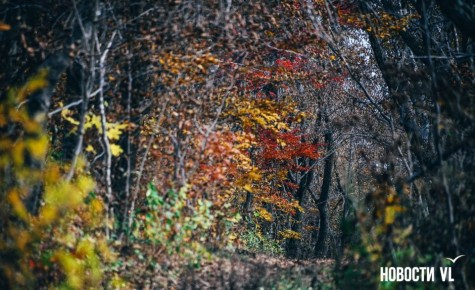 Доброе утро, Владивосток. Днём небольшая облачность