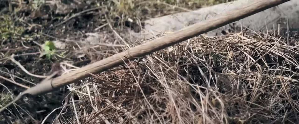 Сжигание травы может привести к пожару