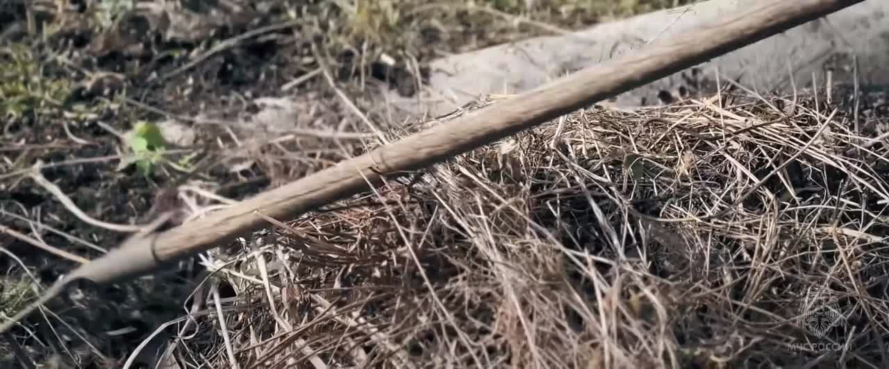 Сжигание травы может привести к пожару