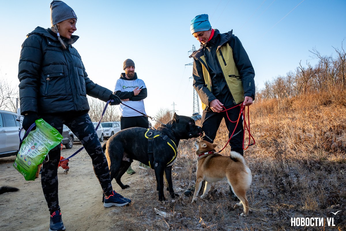 «Пушистый забег» с собаками в поддержку животных фонда «Умка» состоялся на острове Русском «Пушистый забег» с собаками в поддержку животных фонда «Умка» состоялся на острове Русском
