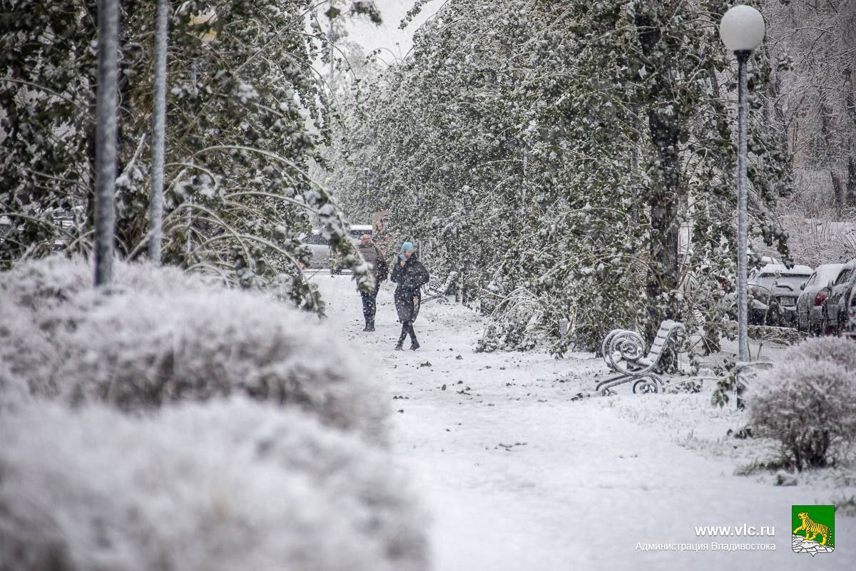 Во Владивостоке во второй половине дня 16 ноября ожидаются осадки в виде дождя со снегом, переходящие в снег