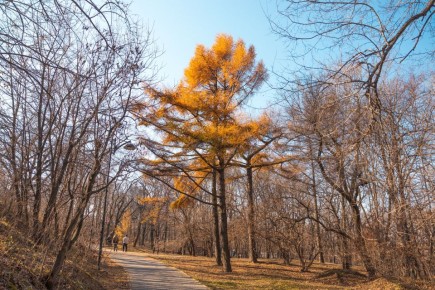 Поймали несколько вдохновляющих кадров в Покровском парке Владивостока