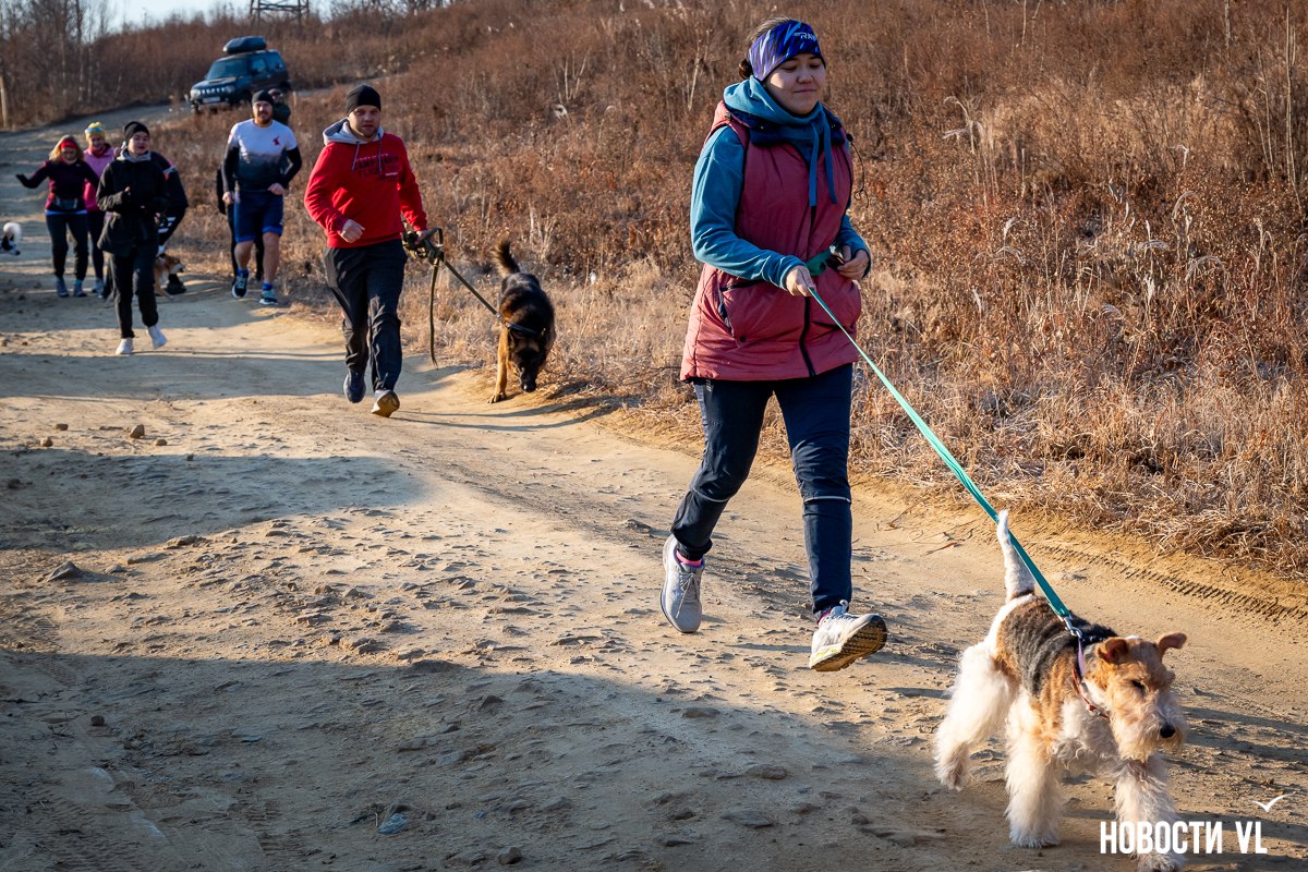 «Пушистый забег» с собаками в поддержку животных фонда «Умка» состоялся на острове Русском «Пушистый забег» с собаками в поддержку животных фонда «Умка» состоялся на острове Русском