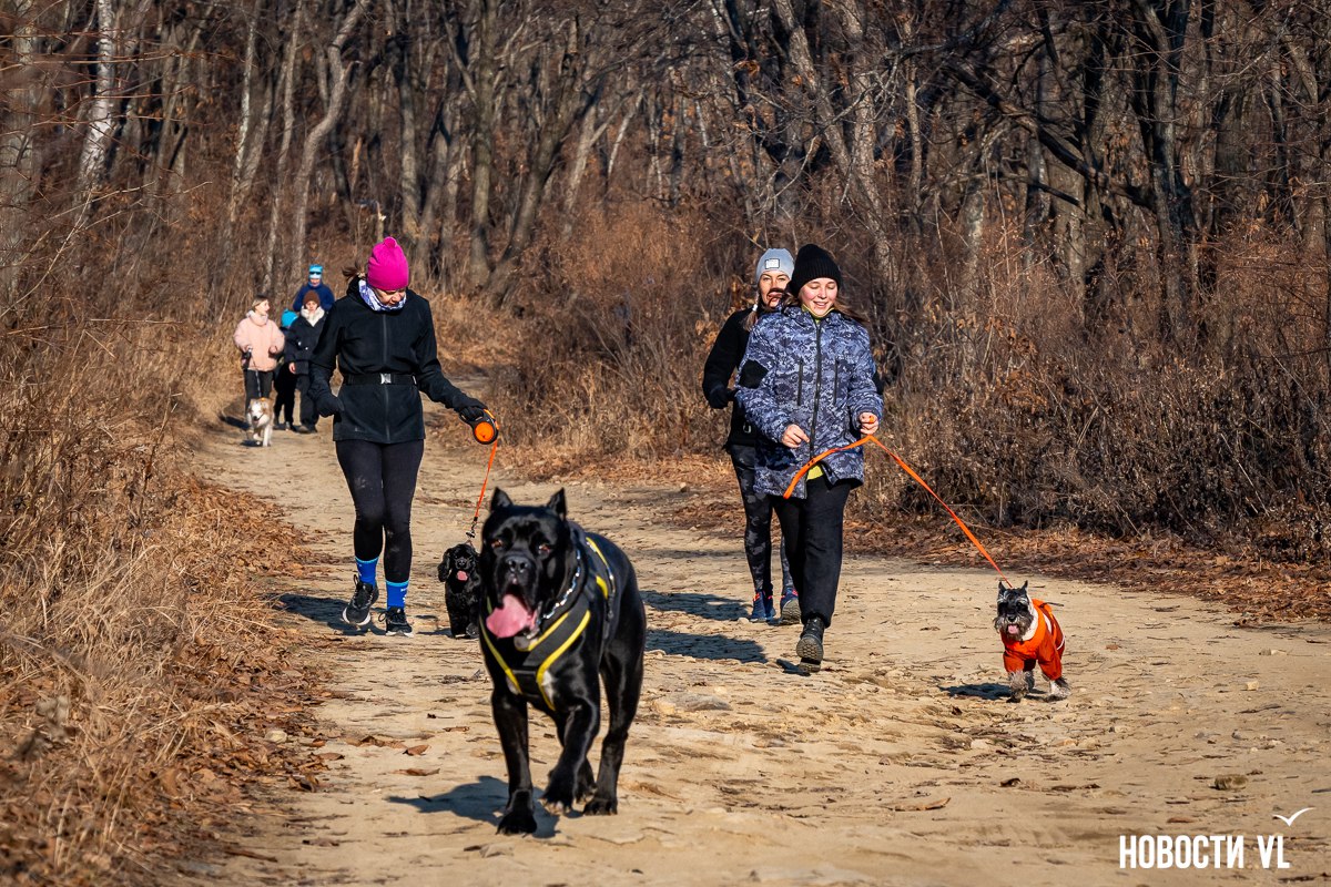 «Пушистый забег» с собаками в поддержку животных фонда «Умка» состоялся на острове Русском «Пушистый забег» с собаками в поддержку животных фонда «Умка» состоялся на острове Русском