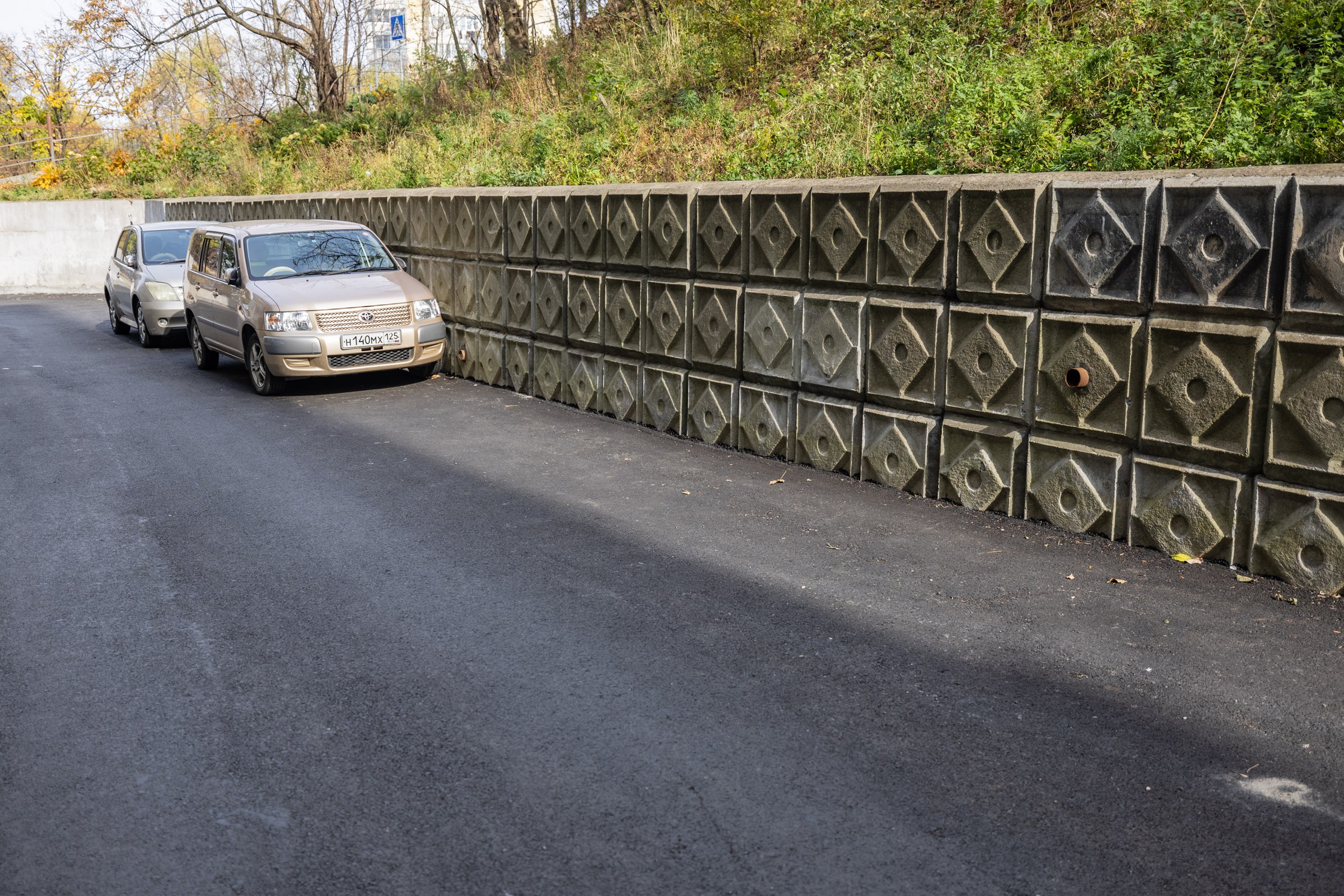 220 проектов благоустройства реализовали ТОСы Владивостока за три года 220 проектов благоустройства реализовали ТОСы Владивостока за три года