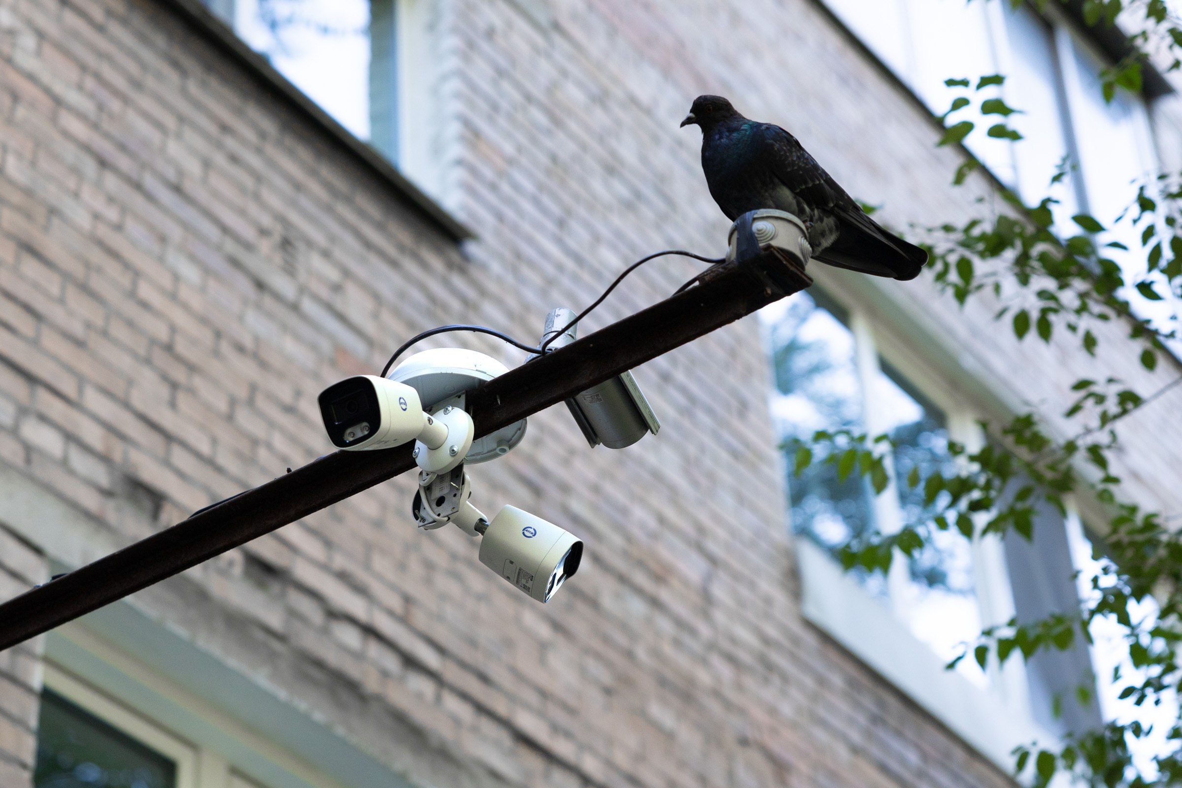 220 проектов благоустройства реализовали ТОСы Владивостока за три года 220 проектов благоустройства реализовали ТОСы Владивостока за три года