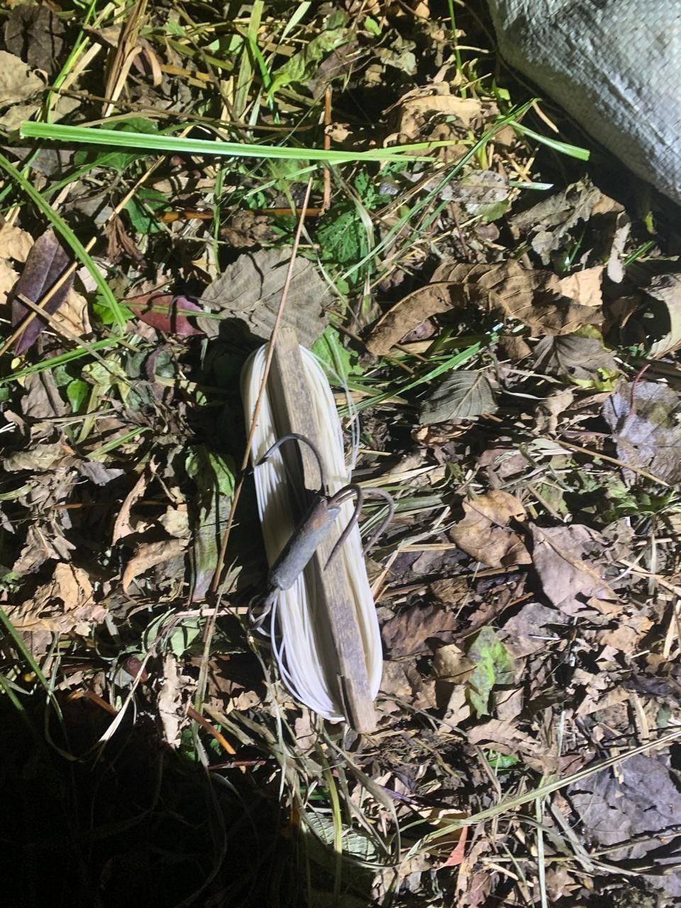 В Хасанском районе полицейские пресекли незаконную добычу лососевых рыб В Хасанском районе полицейские пресекли незаконную добычу лососевых рыб