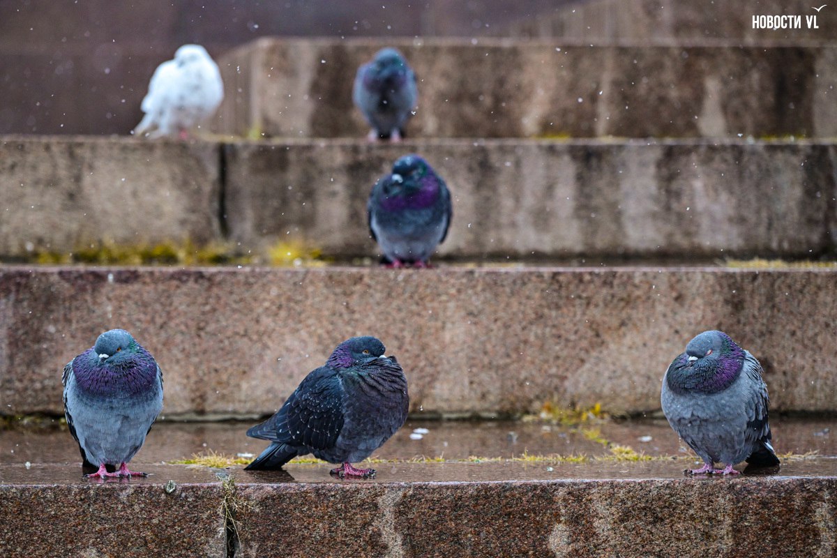 Доброе утро!. Сегодня в воскресенье, 16 ноября