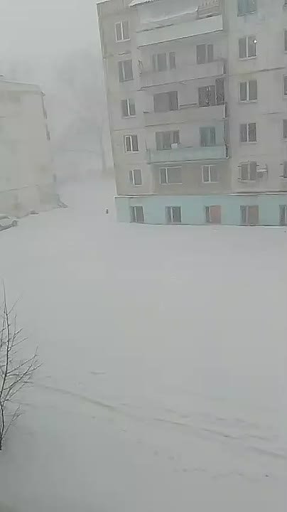 Север Приморья заносит снегом