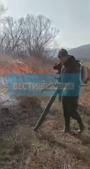 Ландшафтный пожар тушат недалеко от Тернея