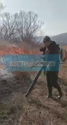 Ландшафтный пожар тушат недалеко от Тернея