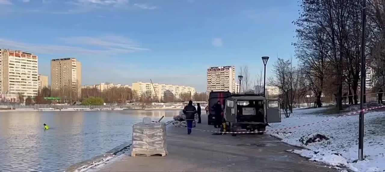 Столичные силовики продолжают поиск убийцы мальчика, чью отрезанную голову сегодня утром нашли в Гольяновском пруду