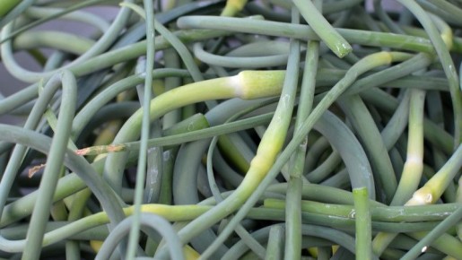 Стрелки чеснока: как превратить отходы в кулинарное сокровище