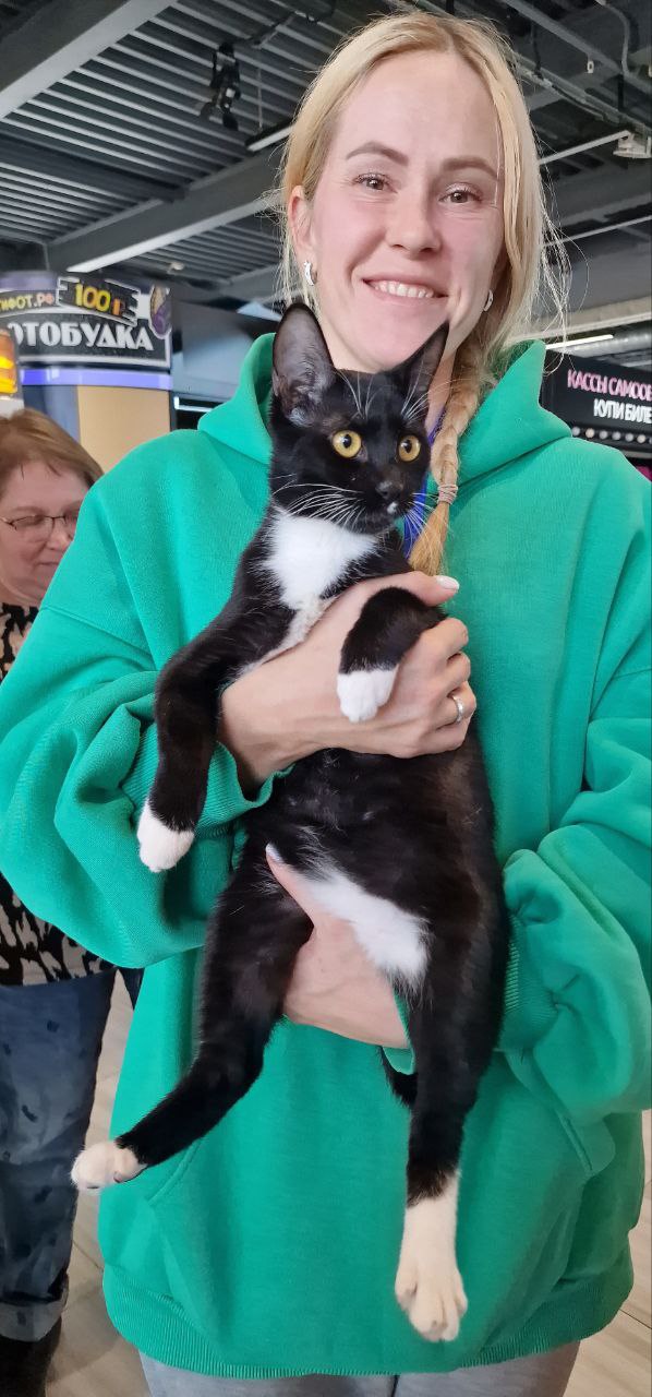 76 ЖИВОТНЫХ НАШЛИ СВОИХ ЛЮБЯЩИХ ХОЗЯЕВ 76 ЖИВОТНЫХ НАШЛИ СВОИХ ЛЮБЯЩИХ ХОЗЯЕВ