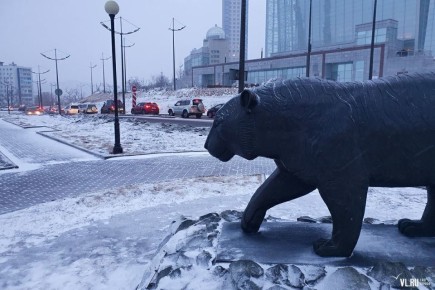 Администрация Владивостока напоминает, что сегодня в 16 часов синоптики прогнозируют дождь и дождь со снегом