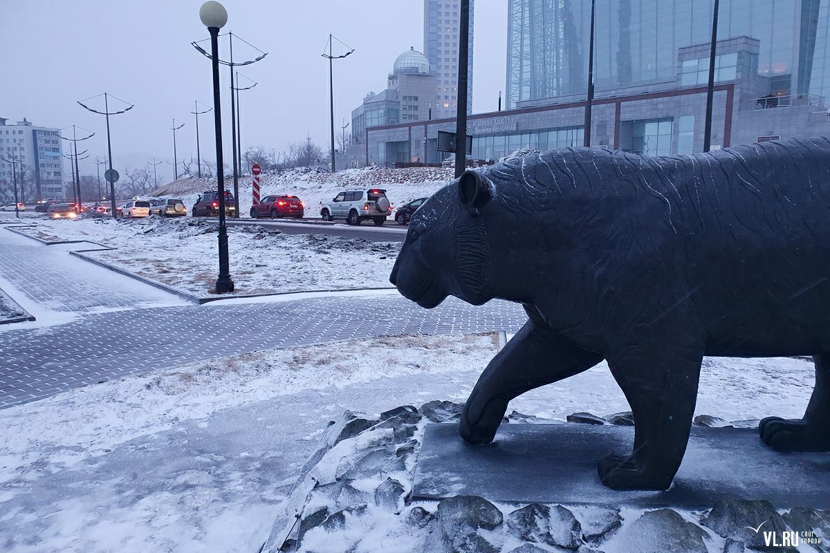 Администрация Владивостока напоминает, что сегодня в 16 часов синоптики прогнозируют дождь и дождь со снегом