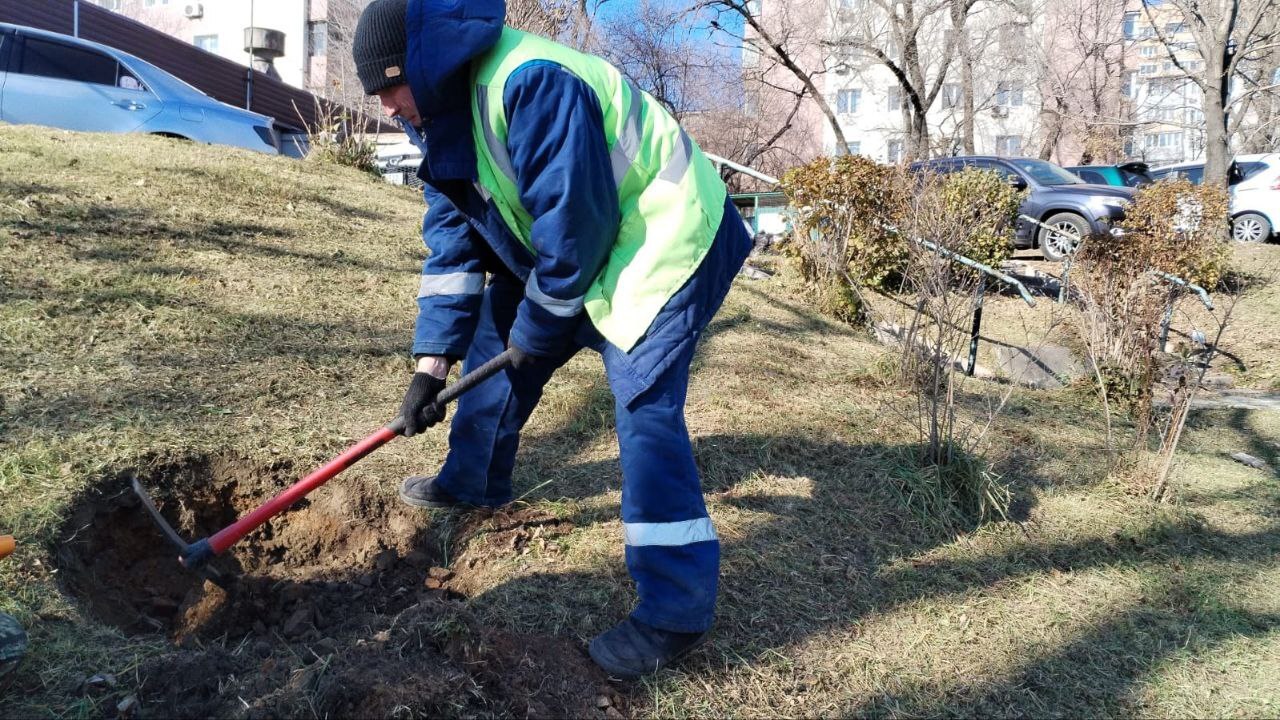 Подводим итоги работы за неделю Подводим итоги работы за неделю