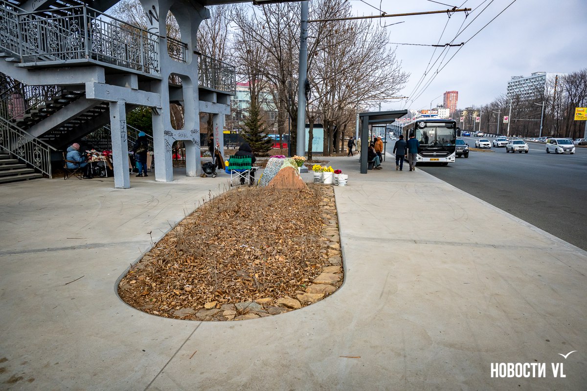 На Второй Речке появился новый сквер около автобусной остановки «Парк Победы» На Второй Речке появился новый сквер около автобусной остановки «Парк Победы»