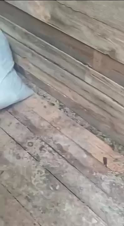 Приморские лесопромышленники направили три вагона пиломатериалов бойцам-землякам