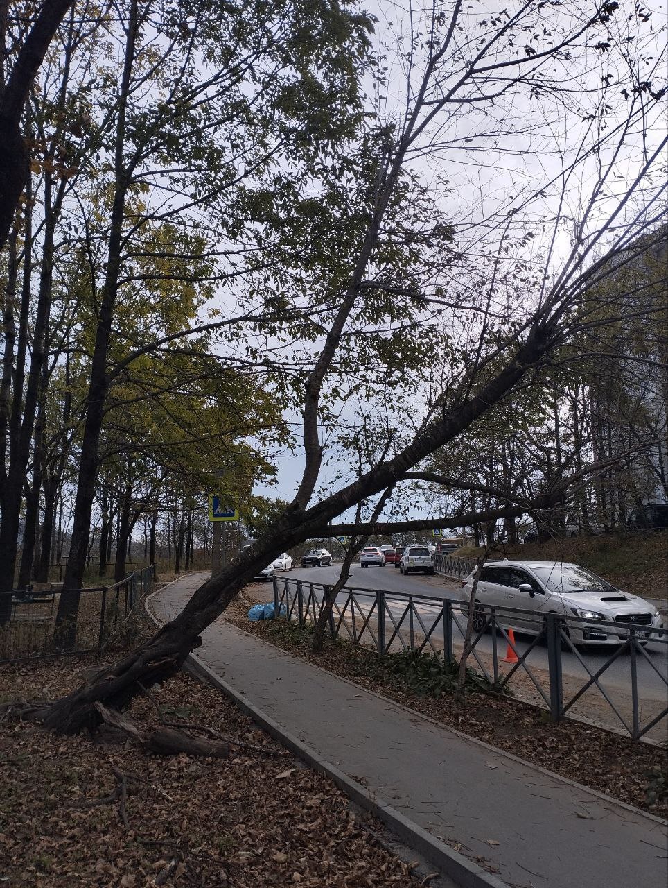 Подводим итоги работы за неделю Подводим итоги работы за неделю