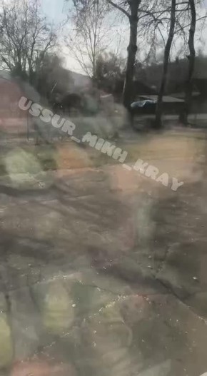 Дикий кабан проник на территорию школы села Милоградово Ольгинского района и напал на сторожа, пытавшегося его прогнать