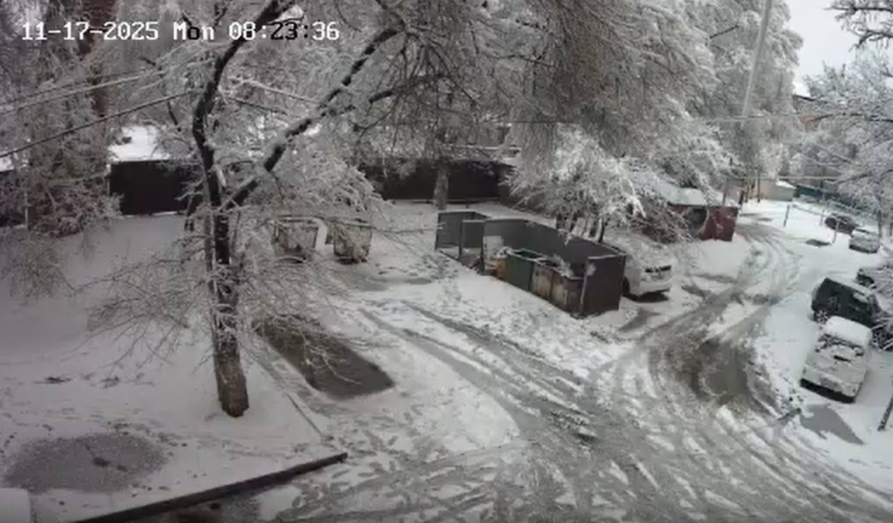 В Приморье на контейнерных площадках устанавливают камеры для борьбы с незаконными свалками В Приморье на контейнерных площадках устанавливают камеры для борьбы с незаконными свалками