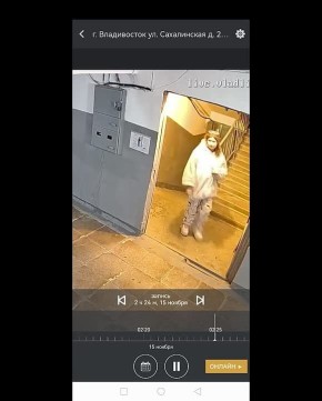 Во Владивостоке девушка забирает из подъездов картины и продаёт их под видом собственных