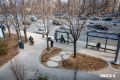 На Второй Речке появился новый сквер около автобусной остановки «Парк Победы»