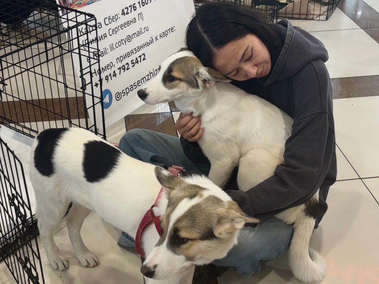 15 ноября в торгово-развлекательном центре «Черемушки» вновь царила атмосфера надежды и доброты 15 ноября в торгово-развлекательном центре «Черемушки» вновь царила атмосфера надежды и доброты