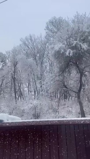 Белая пелена накрыла Приморье