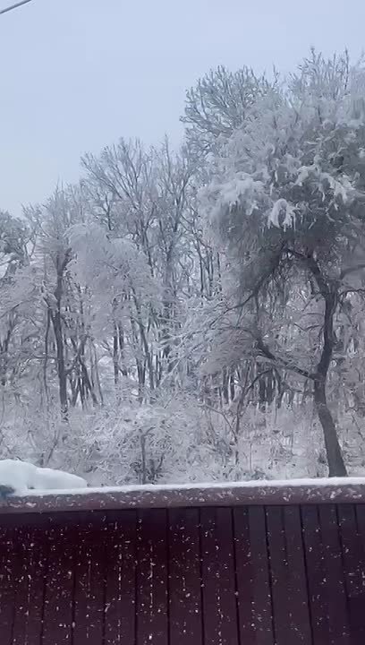 Белая пелена накрыла Приморье