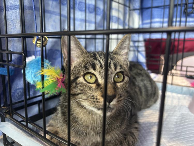 15 ноября в торгово-развлекательном центре «Черемушки» вновь царила атмосфера надежды и доброты 15 ноября в торгово-развлекательном центре «Черемушки» вновь царила атмосфера надежды и доброты