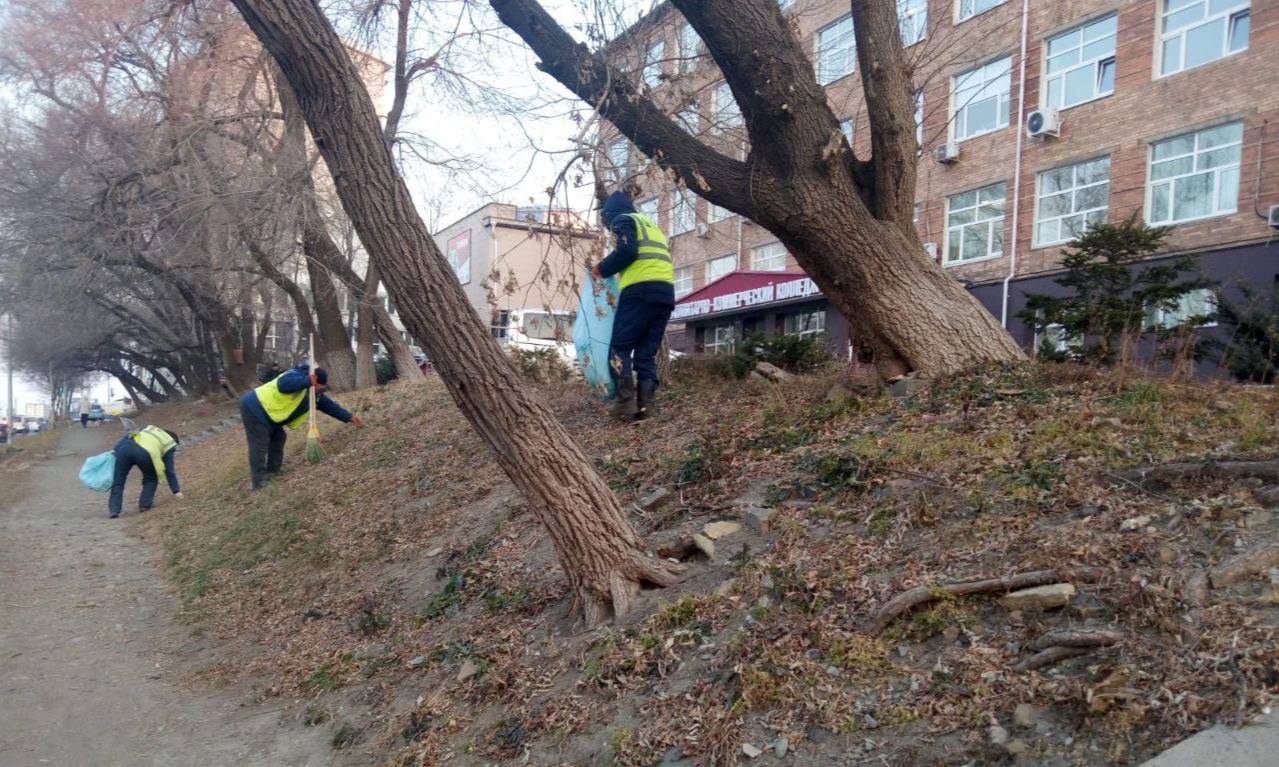 Сегодня во Владивостоке: промывка ливнёвок, обрезка веток, демонтаж объектов, дорожные и санитарные работы Сегодня во Владивостоке: промывка ливнёвок, обрезка веток, демонтаж объектов, дорожные и санитарные работы