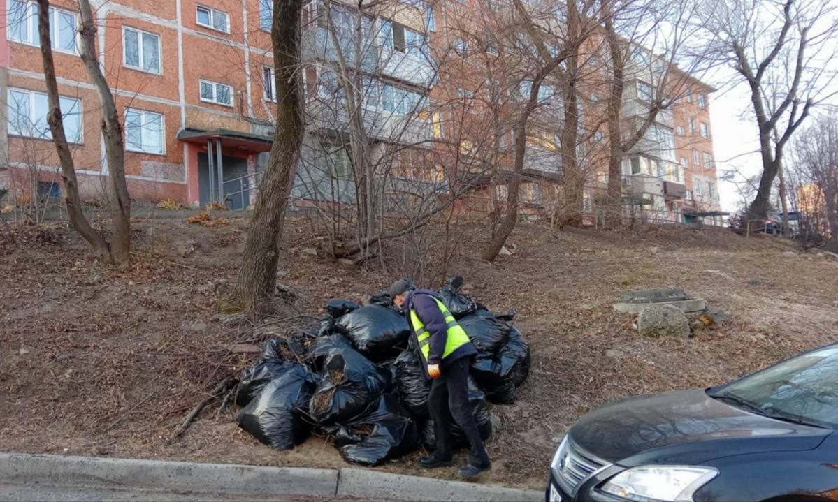 Сегодня во Владивостоке: промывка ливнёвок, обрезка веток, демонтаж объектов, дорожные и санитарные работы Сегодня во Владивостоке: промывка ливнёвок, обрезка веток, демонтаж объектов, дорожные и санитарные работы