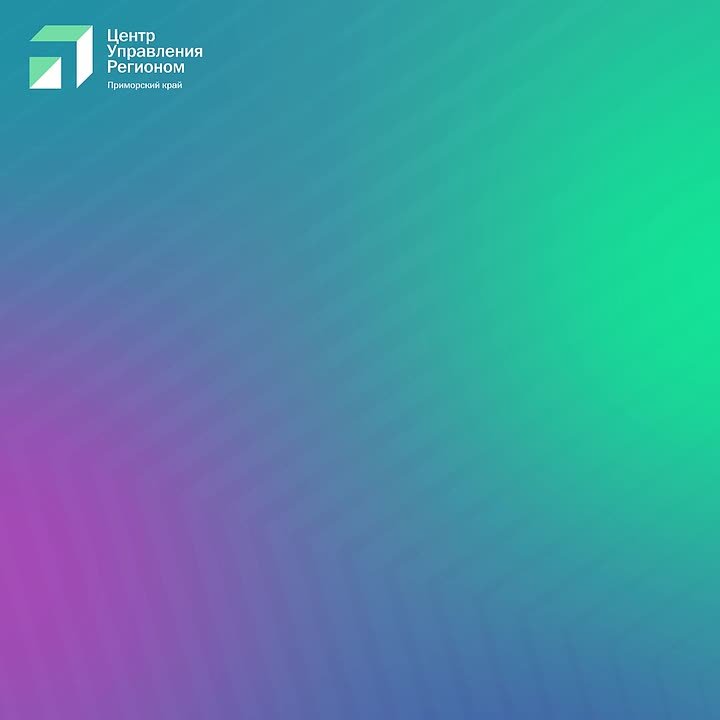 «Стань чемпионом»: определяем спортивный талант ребенка