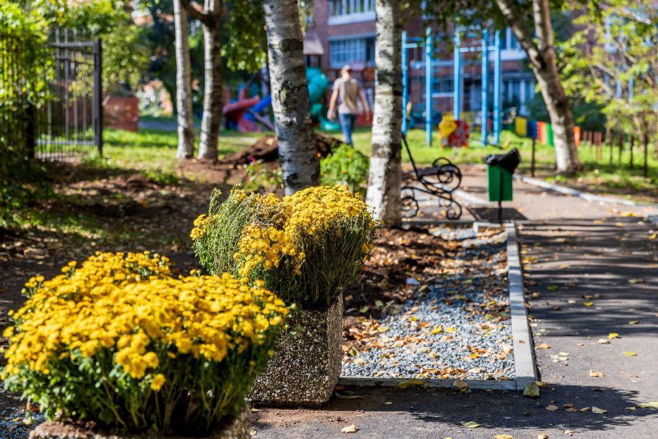 За три года территориальные общественные самоуправления Владивостока реализовали 220 проектов благоустройства