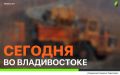 Сегодня во Владивостоке: промывка ливнёвок, обрезка веток, демонтаж объектов, дорожные и санитарные работы