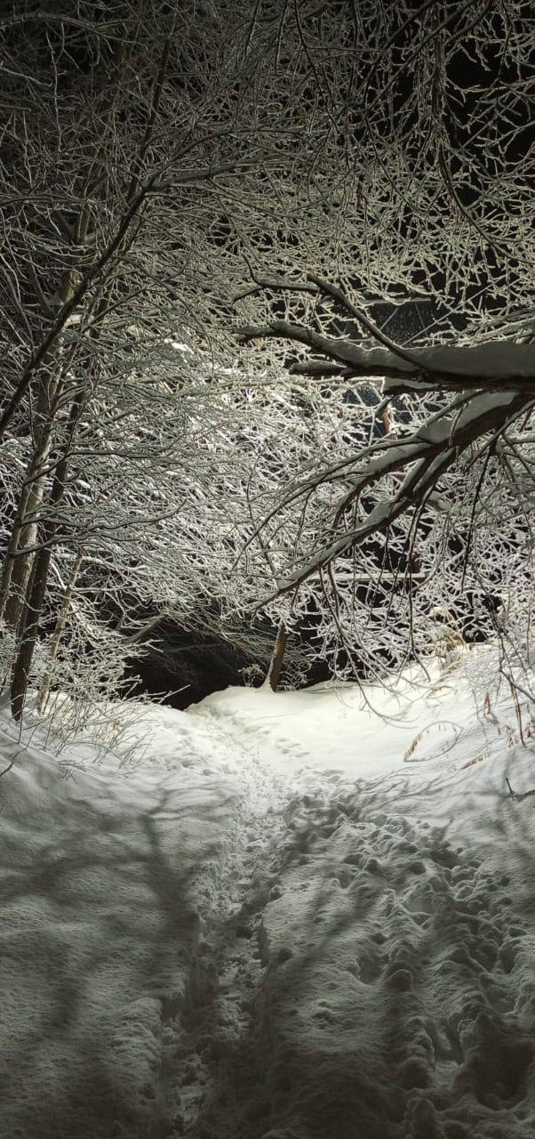 На севере и центральных районах Приморья установился устойчивый снежный покров